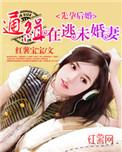 追回小逃妻
