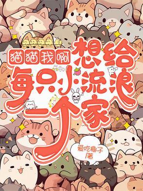 我想给我小猫