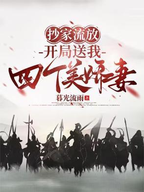 穿越之抄家流放前的淑女