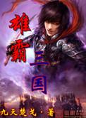 雄霸三国物品代码